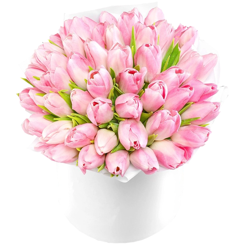 Бокс из 51 розового тюльпана