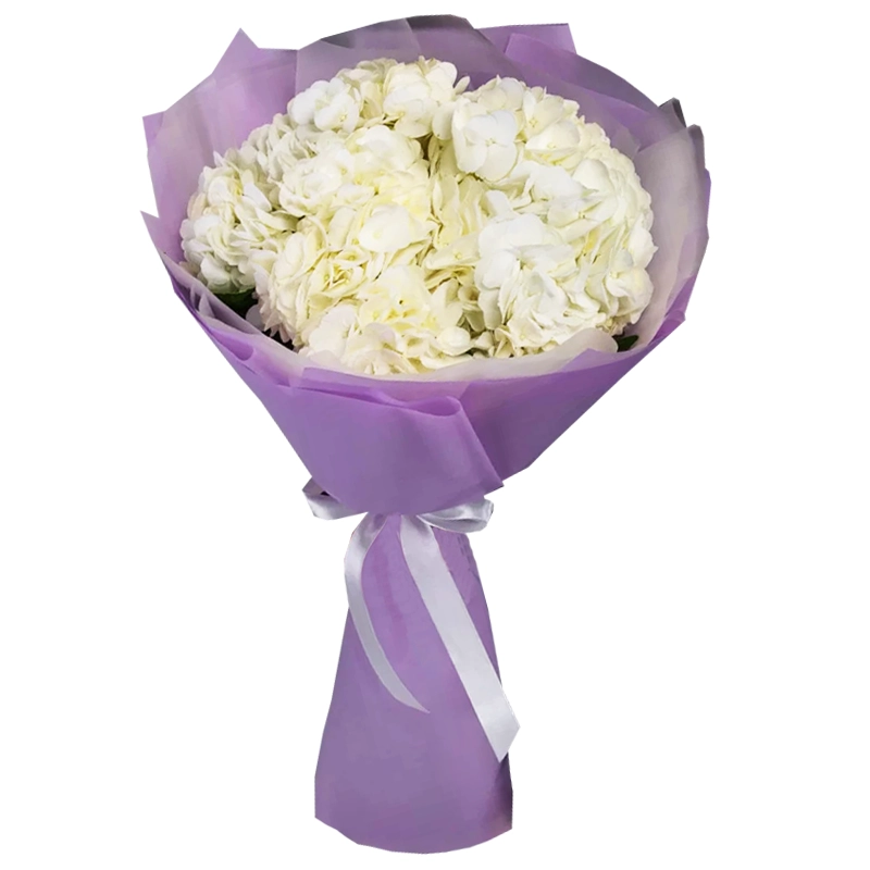 Букет из 3 белых гортензий