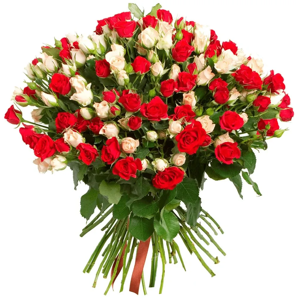 Розы кустовые микс №2